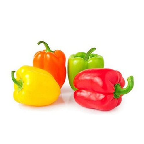 Organic Baby Capsicum Mix UAE