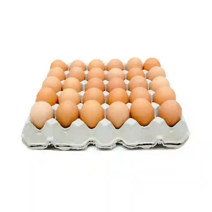 Fresh Brown Eggs
