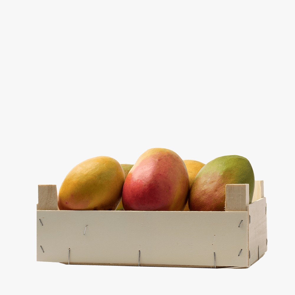 Necta Mangoes Yemen