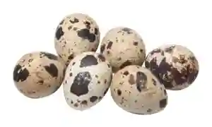 Faaz Quail Eggs