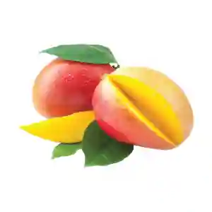 Mangoes Kent South Africa