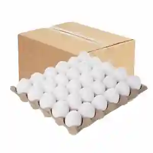 White Chicken Egg Tray Box